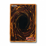Yu-Gi-Oh! Dark Magician SYE-001 Holographic Rare Trading Card LP