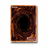 Yu-Gi-Oh KC01 Blue-Eyes White Dragon 25th Anniversary Kaiba Briefcase Set Promo Card NM